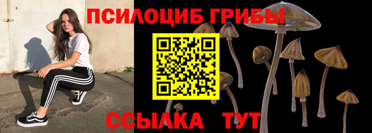 Вичуга  Псилоцибиновые грибы GOLDEN TEACHER  Псилоцибиновые грибы GOLDEN TEACHER  Вход с VPN 